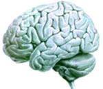 pastillas para bajar de peso y el cerebro